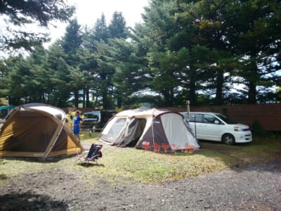 北軽井沢くるみの森キャンプ場　設営完了