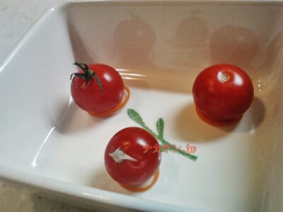 実験トマト